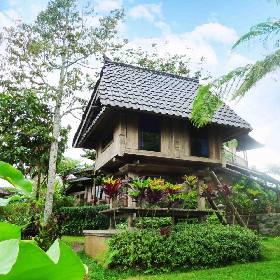 Willa Bali Mountain Retreat Selemadeg  Zewnętrze zdjęcie