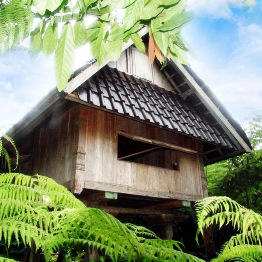 Willa Bali Mountain Retreat Selemadeg  Zewnętrze zdjęcie