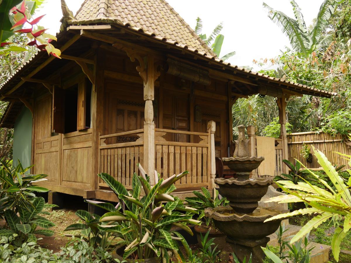 Willa Bali Mountain Retreat Selemadeg  Zewnętrze zdjęcie