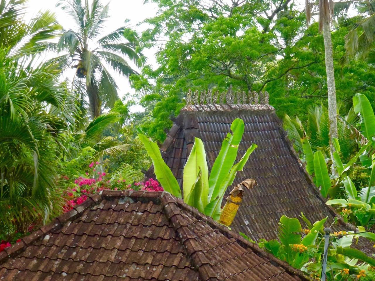 Willa Bali Mountain Retreat Selemadeg  Zewnętrze zdjęcie